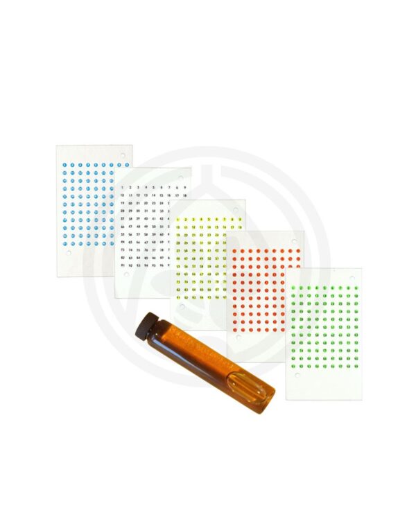 Kartica sa brojevima za maticu set